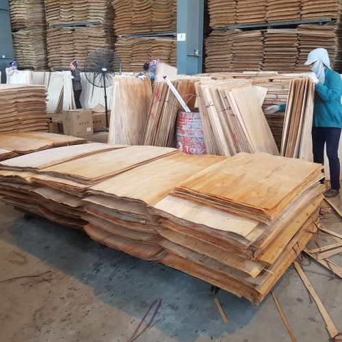 EULCALYPTUS CORE VENEER