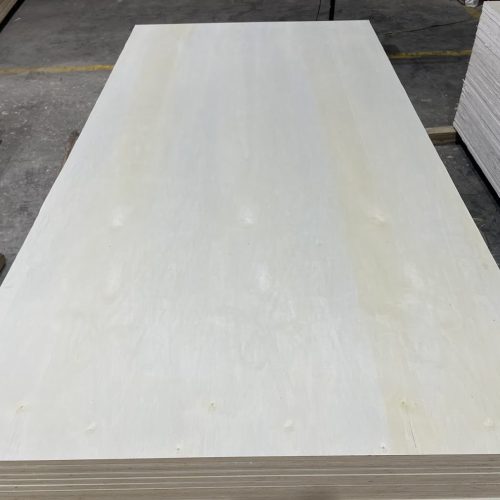 POPLAR PLYWOOD