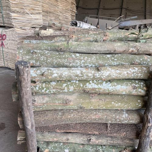 Alternative view of ACACIA CORE VENEER