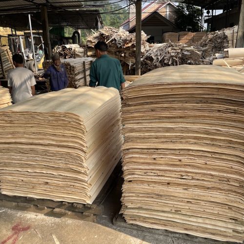 Alternative view of STYRAX COREVENEER