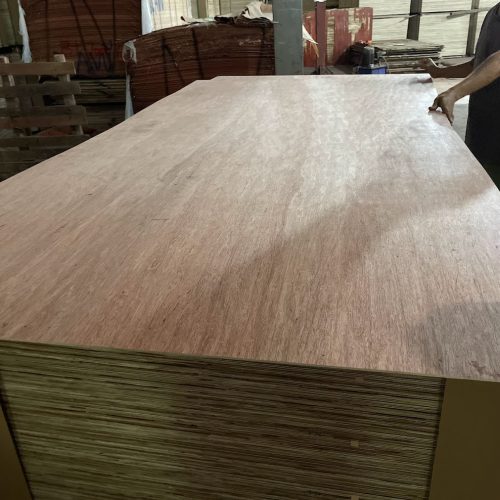 Alternative view of BINGTAGOR PLYWOOD
