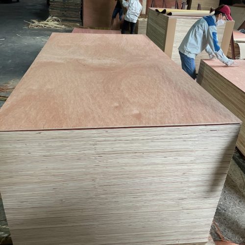 BINGTAGOR PLYWOOD